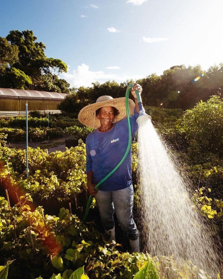 Agricultor regando el cultivo
