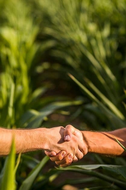 Los campeones se construyen antes de la competencia Una derrota puede doler. Pero tanto en el fútbol como en la agricultura, el éxito pertenece a quienes siguen preparándose para el próximo desafío.